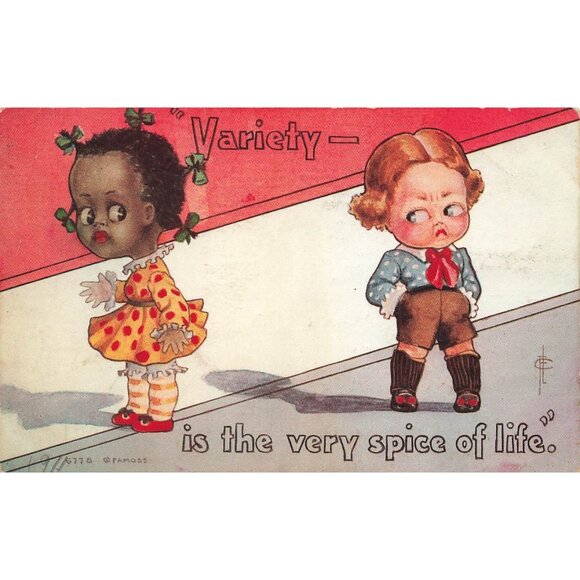 Postcard Variety is the Very Spice of Life 1911 Americana Divided Back Posted - Picture 1 of 2